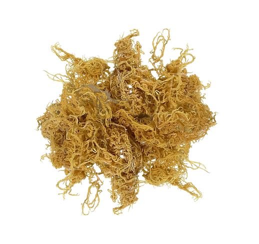 ALFA Organic Sea Moss - ALFA Water