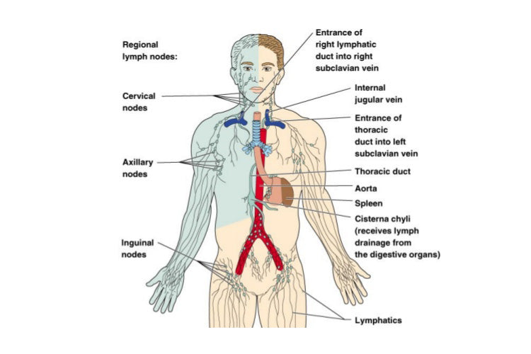 The Ultimate Shockwave Therapy Package for Men